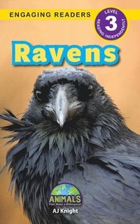 bokomslag Ravens