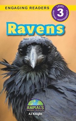 Ravens 1