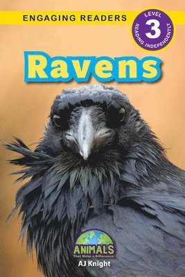 bokomslag Ravens