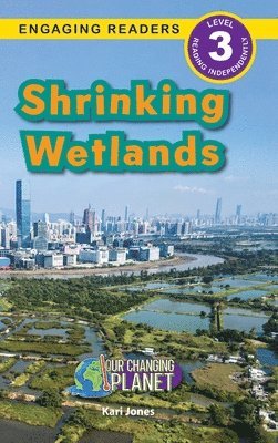 Shrinking Wetlands 1