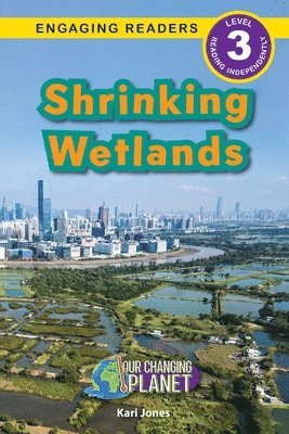 Shrinking Wetlands 1