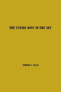 bokomslag Flying Boys in the Sky