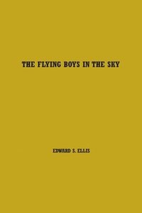 bokomslag The Flying Boys in the Sky