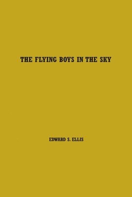 The Flying Boys in the Sky 1