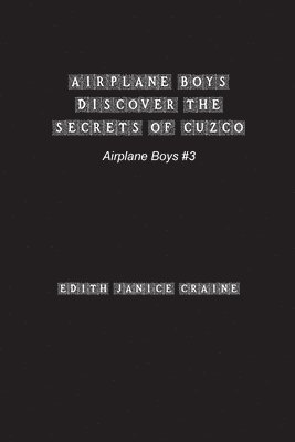 bokomslag Airplane Boys Discover the Secrets of Cuzco