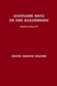 bokomslag Airplane Boys in the Blackwoods