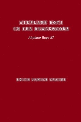 bokomslag Airplane Boys in the Blackwoods