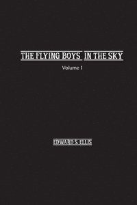 bokomslag Fly Boys in the Sky