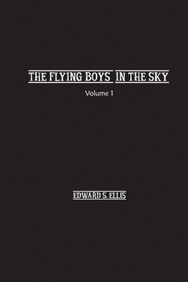 bokomslag Fly Boys in the Sky