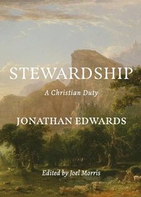 bokomslag Stewardship