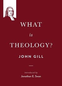 bokomslag What is theology?