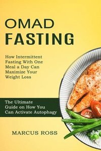 bokomslag Omad Fasting