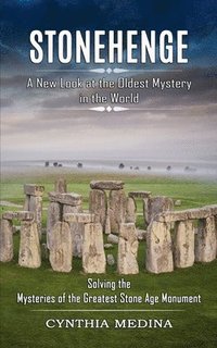 bokomslag Stonehenge
