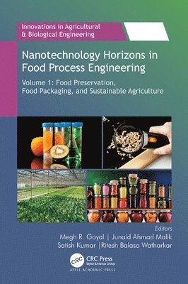 bokomslag Nanotechnology Horizons in Food Process Engineering