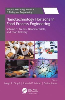 bokomslag Nanotechnology Horizons in Food Process Engineering