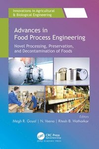 bokomslag Advances in Food Process Engineering