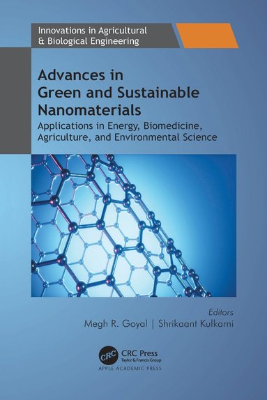 bokomslag Advances in Green and Sustainable Nanomaterials