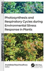 bokomslag Photosynthesis and Respiratory Cycles during Environmental Stress Response in Plants