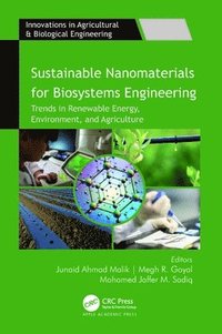 bokomslag Sustainable Nanomaterials for Biosystems Engineering