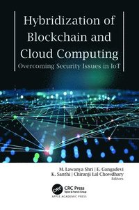 bokomslag Hybridization of Blockchain and Cloud Computing
