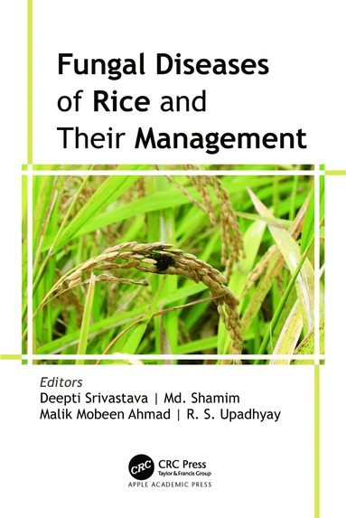 bokomslag Fungal Diseases of Rice and Their Management