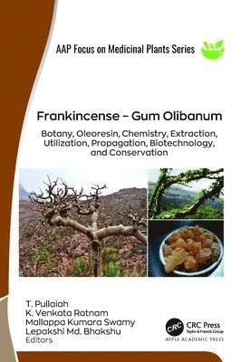 bokomslag Frankincense  Gum Olibanum