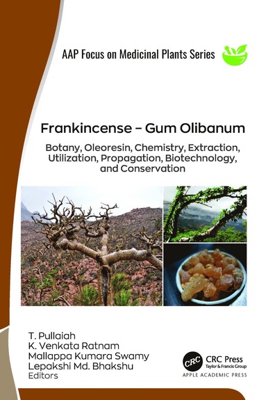 bokomslag Frankincense  Gum Olibanum