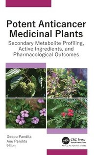 bokomslag Potent Anticancer Medicinal Plants