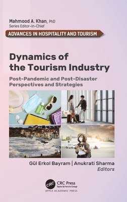 bokomslag Dynamics of the Tourism Industry