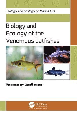 bokomslag Biology and Ecology of the Venomous Catfishes