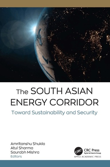 Amritanshu Shukla, Atul Shama, Saurabh Mishra - South Asian Energy Corridor, Inbunden