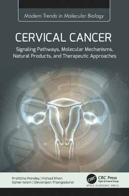 bokomslag Cervical Cancer