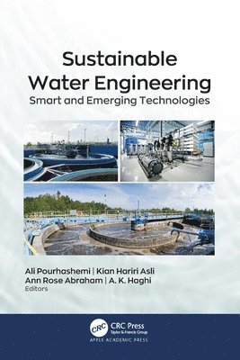 bokomslag Sustainable Water Engineering