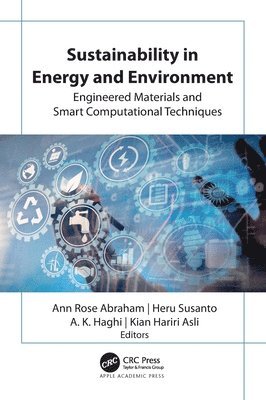 bokomslag Sustainability in Energy and Environment