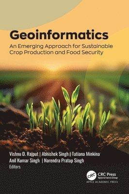 bokomslag Geoinformatics