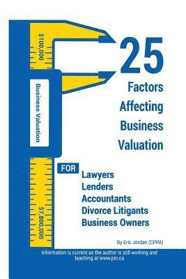 bokomslag 25 Factors Affecting Business Valuation