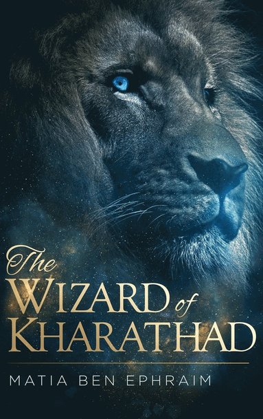 bokomslag The Wizard of Kharathad