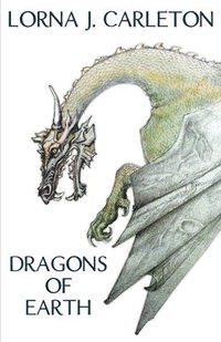 bokomslag Dragons of Earth