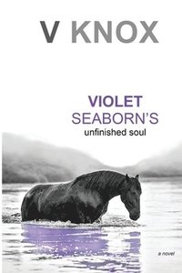 bokomslag Violet Seaborn's Unfinished Soul