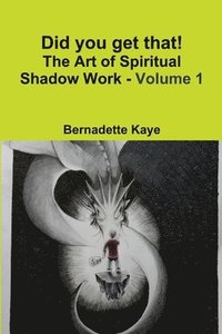 bokomslag Did you get that! The Art of Spiritual Shadow Work - Volume 1