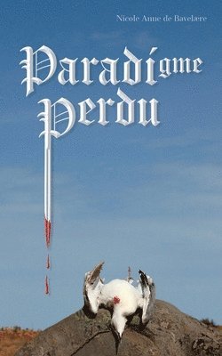 bokomslag Paradigme Perdu