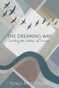 bokomslag Dreaming Way