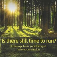 bokomslag Is there still time to run?: A message from your therapist before your session