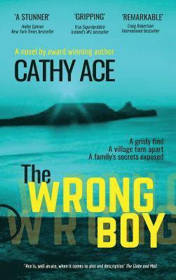 Cathy Ace - Wrong Boy, Inbunden