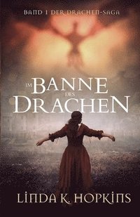 bokomslag Im Banne des Drachen