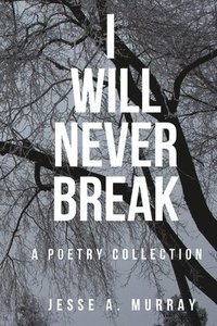 bokomslag I Will Never Break
