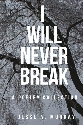 bokomslag I Will Never Break