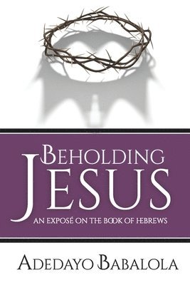 bokomslag Beholding Jesus: An Exposé on the Book of Hebrews