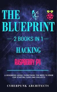 bokomslag Raspberry Pi & Hacking