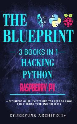 bokomslag Raspberry Pi & Hacking & Python